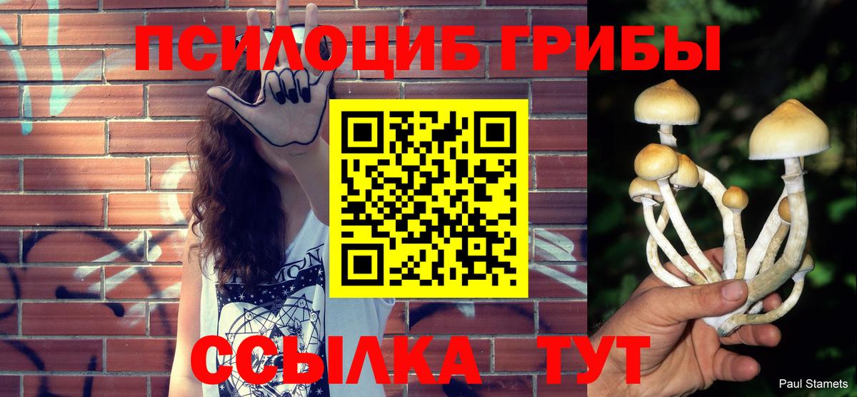 Галлюциногенные грибы MAGIC MUSHROOMS  Галлюциногенные грибы мухоморы  Вход с VPN  Горячий Ключ 
